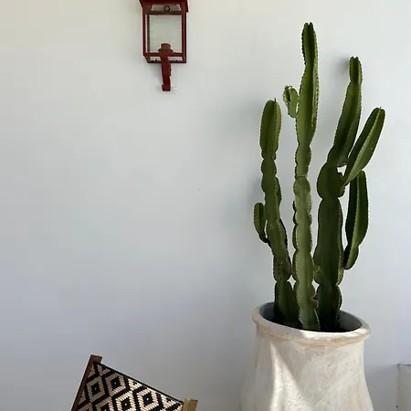 Villa Con Piscina Privada, Terraza Y 3 *